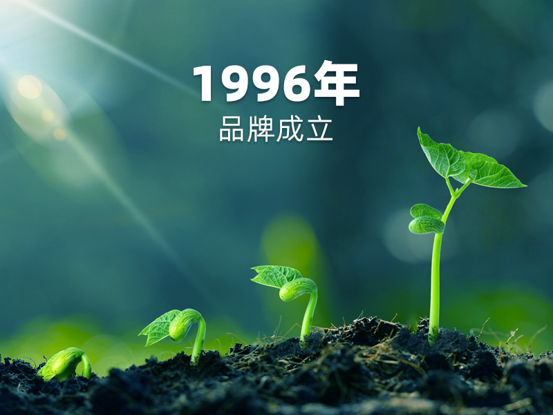 1996年品牌成立：PCB硬板制造征程，匠心傳承！